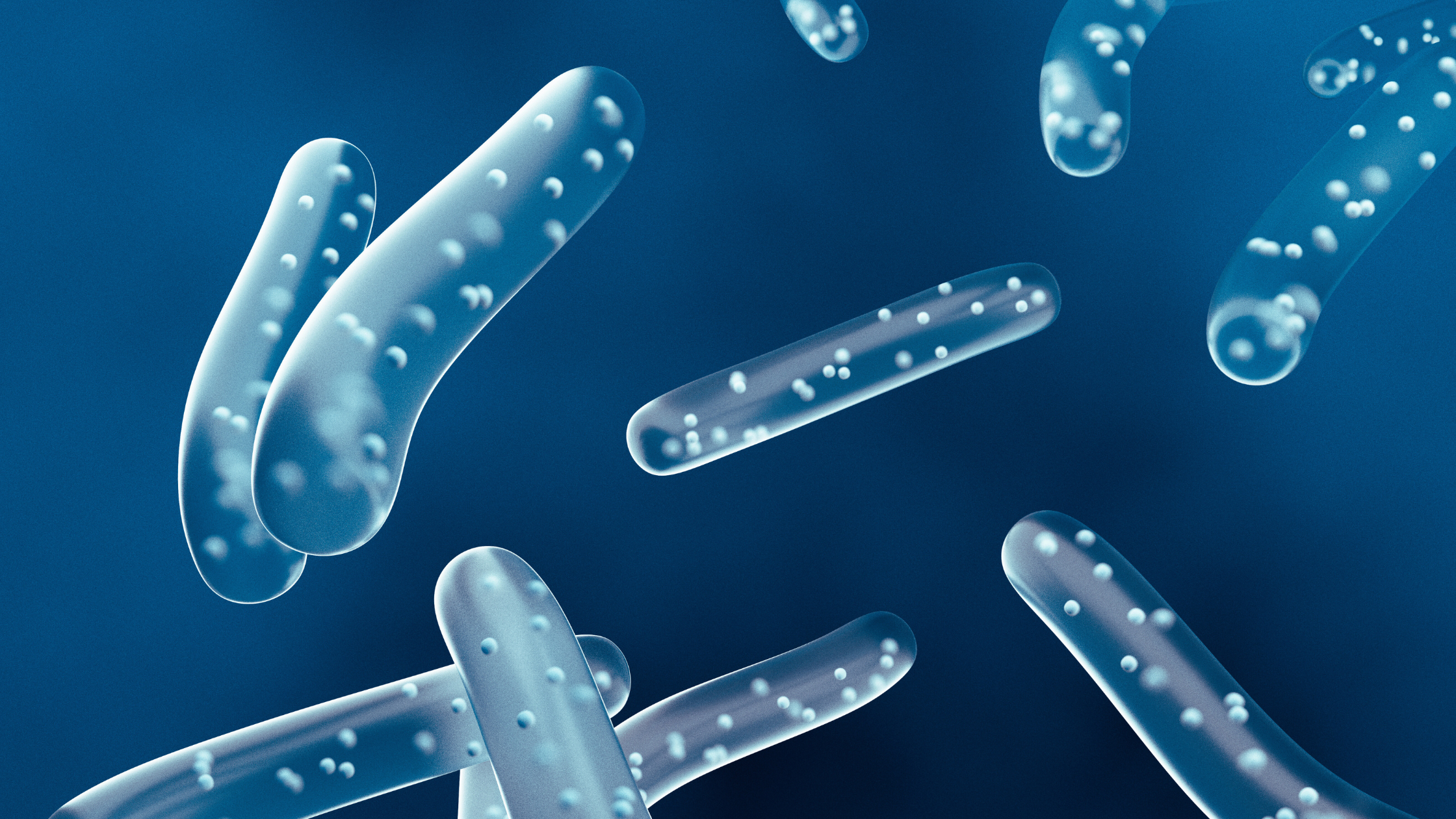 What Makes a Good Microbiome? - GutID