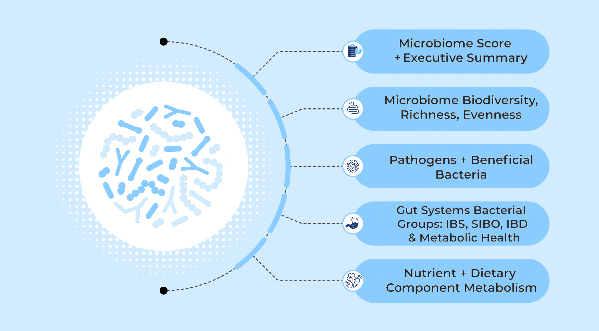 What the GutID Core Gut Insights report covers — microbiome score, biodiversity, pathogens and beneficial bacteria, gut systems bacterial groups, and nutrient metabolism