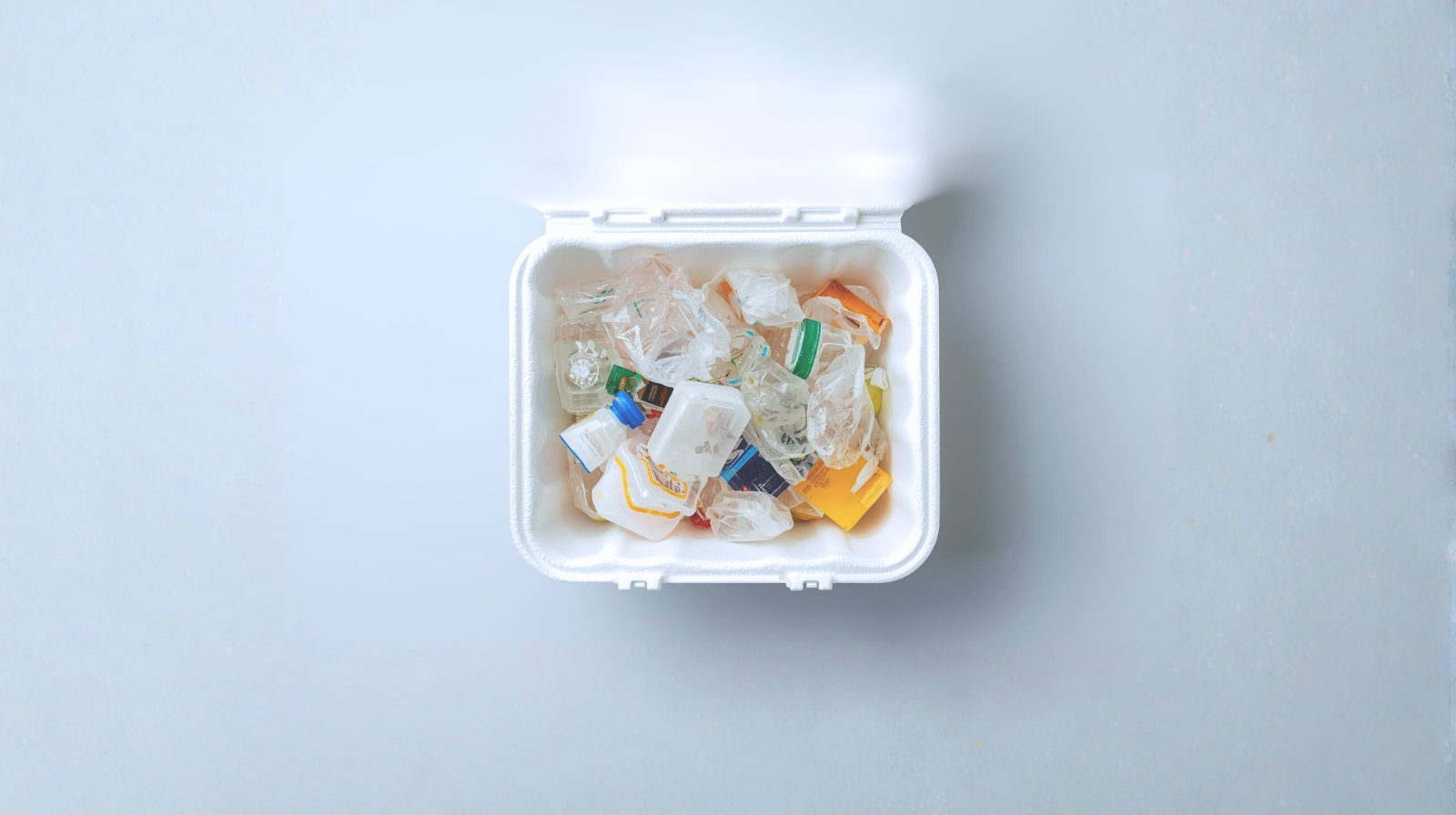 Hidden Threats in Your Takeout: How Microplastics Disrupt the Gut Microbiome