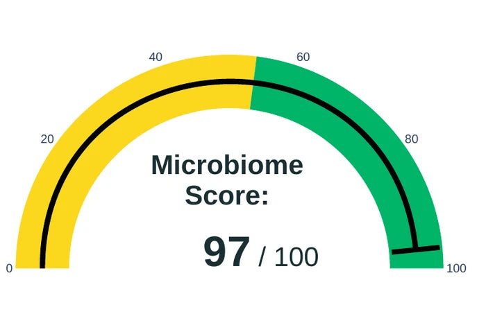 Microbiome Score gauge from a GutID sample report: 97 of 100