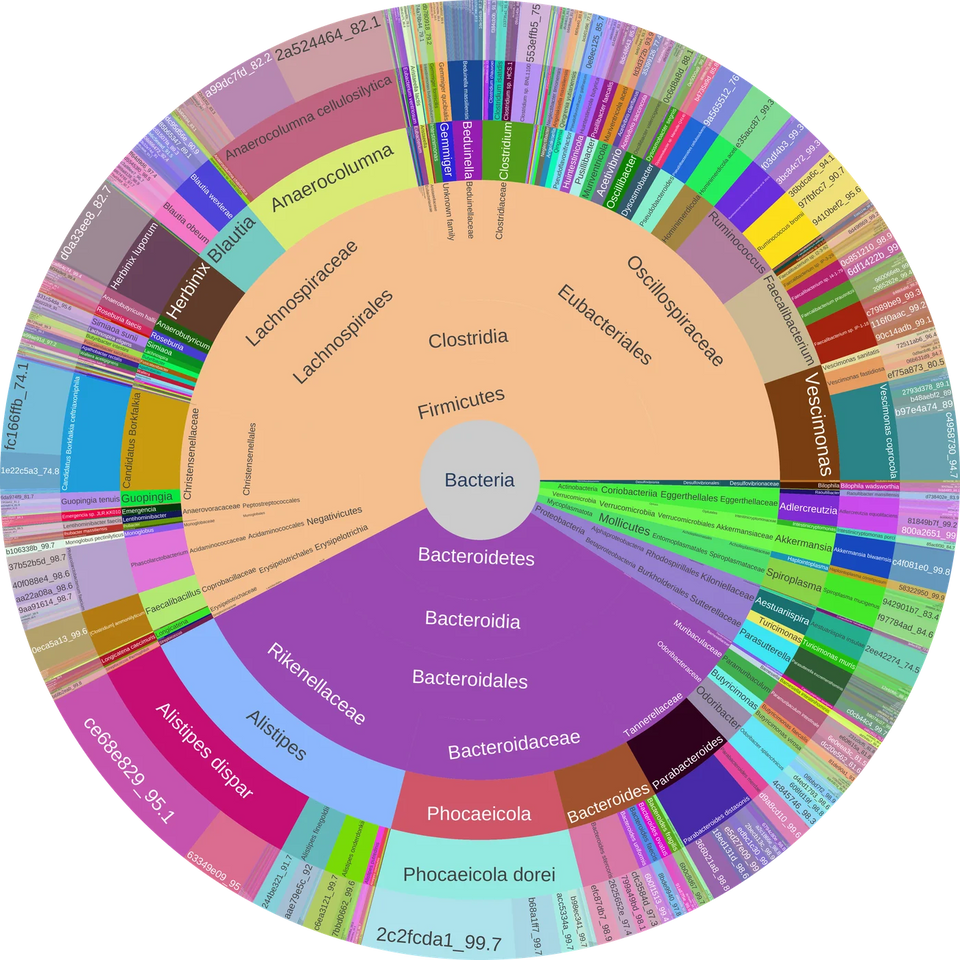 Target Plot from a Core sample report, Microbiome Score 97 of 100: rings run from all bacteria at the center out to species