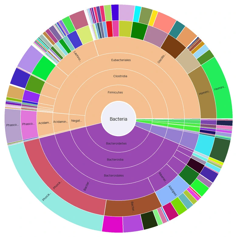 A GutID Target Plot showing a diverse gut community, drawn as nested rings from phylum at the center to species at the edge, with Firmicutes and Bacteroidetes in balance.